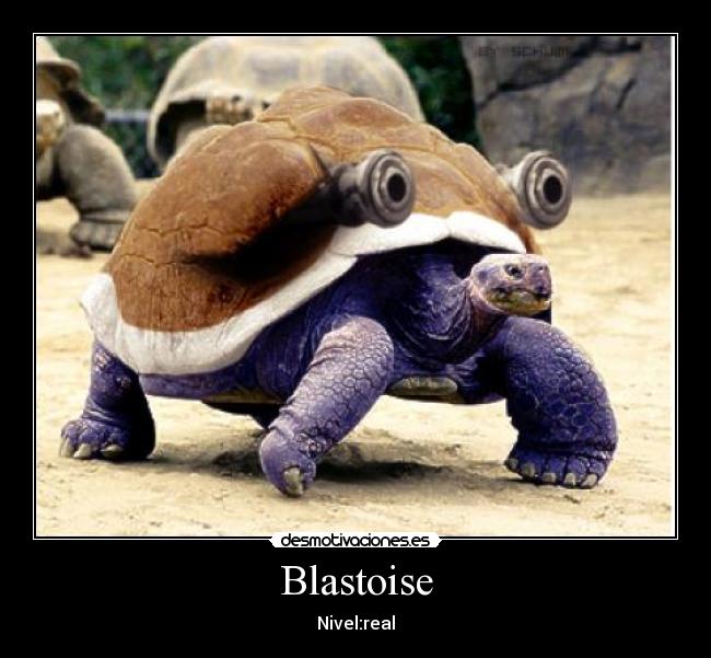 Blastoise - Nivel:real