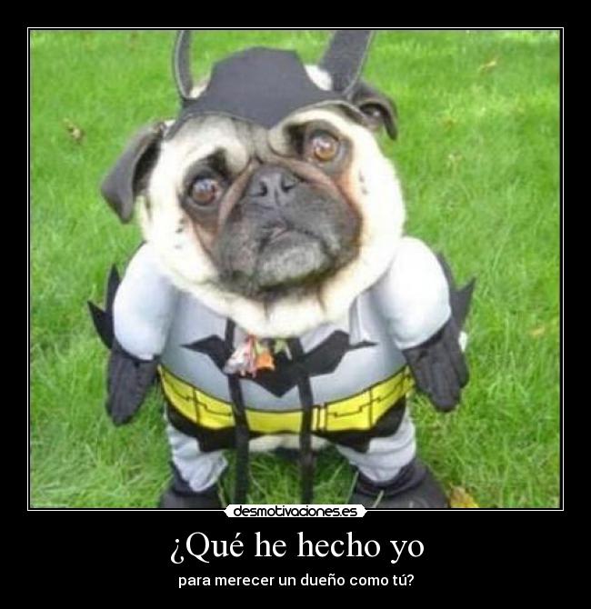 ¿Qué he hecho yo - para merecer un dueño como tú?