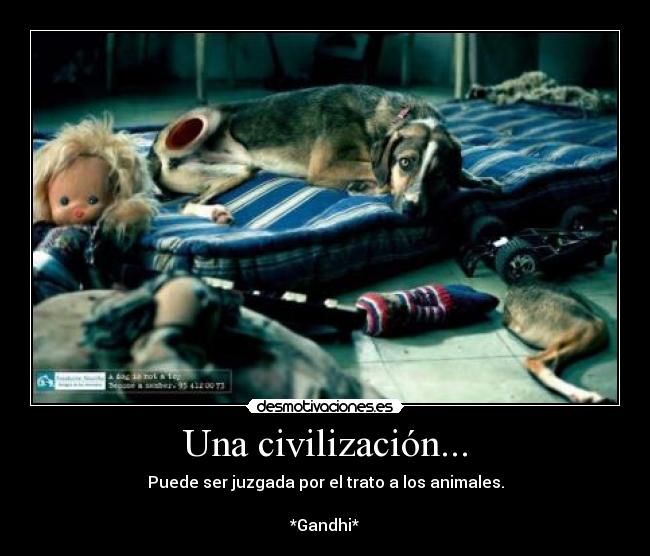 Una civilización... - Puede ser juzgada por el trato a los animales.
*Gandhi*