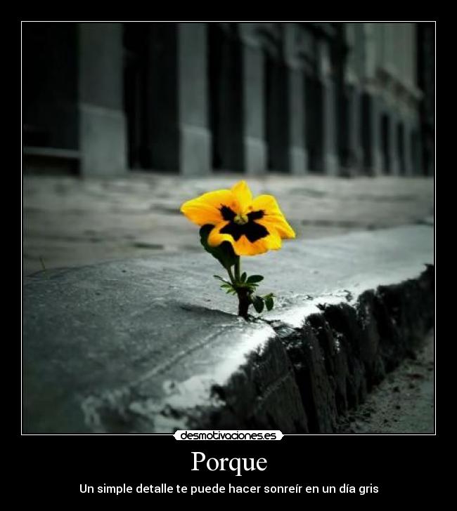 Porque - Un simple detalle te puede hacer sonreír en un día gris