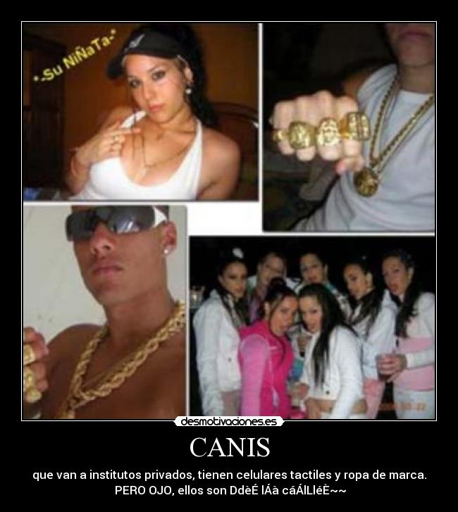 CANIS - que van a institutos privados, tienen celulares tactiles y ropa de marca.
PERO OJO, ellos son DdèÉ lÁà cáÁlLléÈ~~