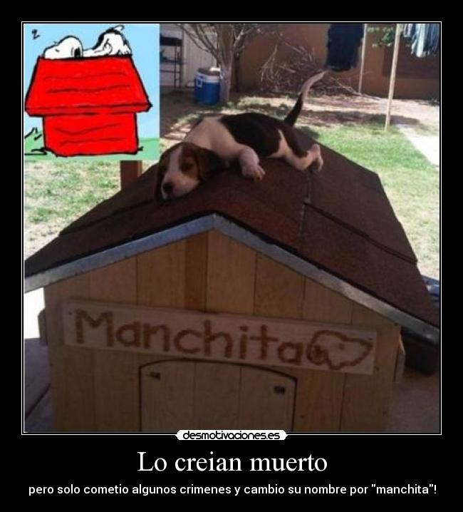 Lo creian muerto - pero solo cometio algunos crimenes y cambio su nombre por manchita!