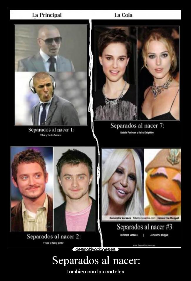 Separados al nacer: - tambien con los carteles