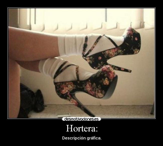 Hortera: - Descripción gráfica.