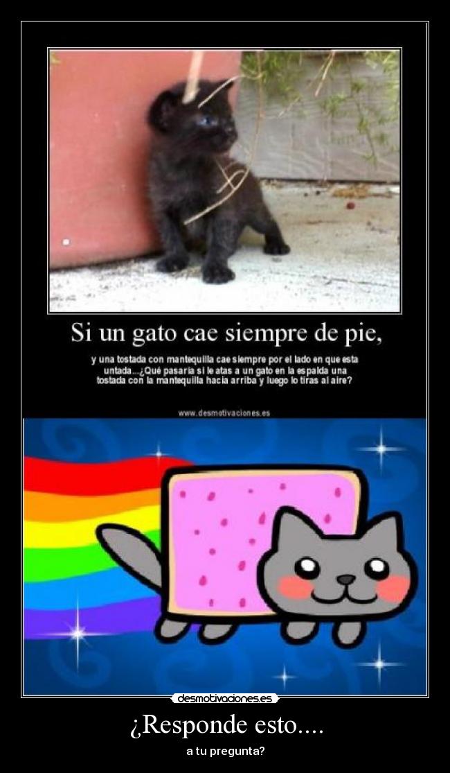 carteles nyan cat desmotivaciones