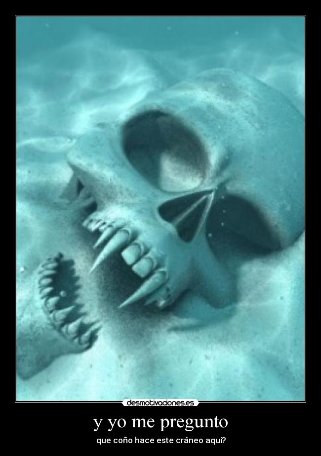 y yo me pregunto -