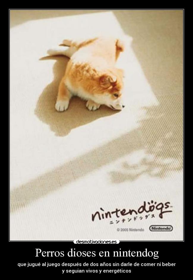 Perros dioses en nintendog - que jugué al juego después de dos años sin darle de comer ni beber
y seguian vivos y energéticos