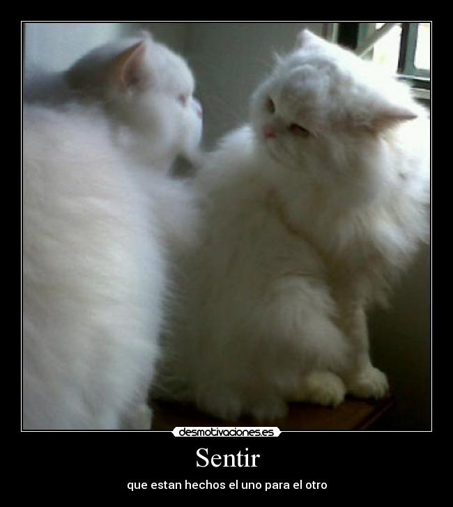 Sentir -