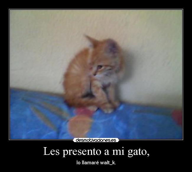 Les presento a mi gato, -