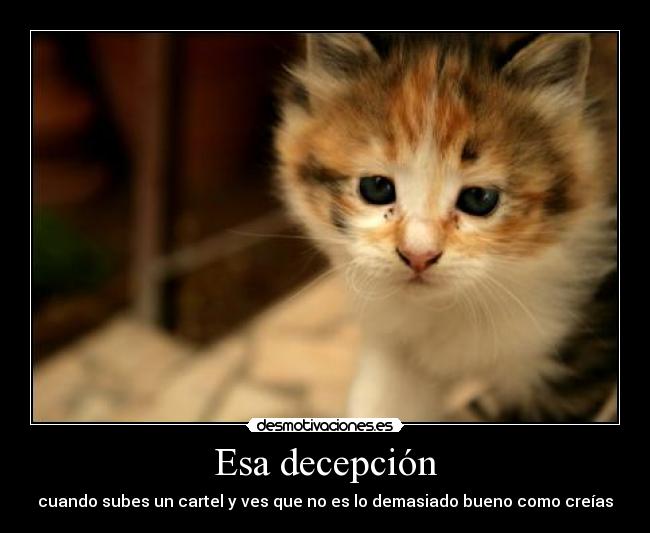 Esa decepción - cuando subes un cartel y ves que no es lo demasiado bueno como creías