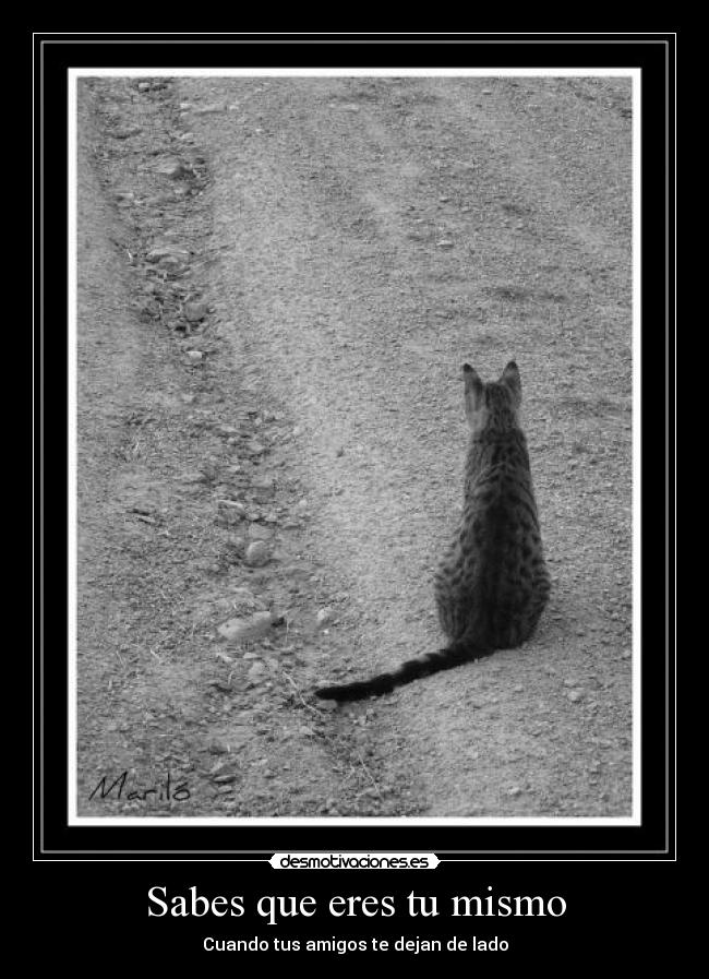 Usuario nikuzo Desmotivaciones Usuario nikuzo Desmotivaciones