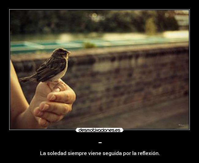 - - La soledad siempre viene seguida por la reflexión.