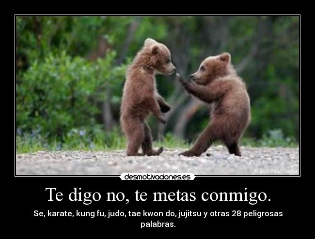 Te digo no, te metas conmigo. -