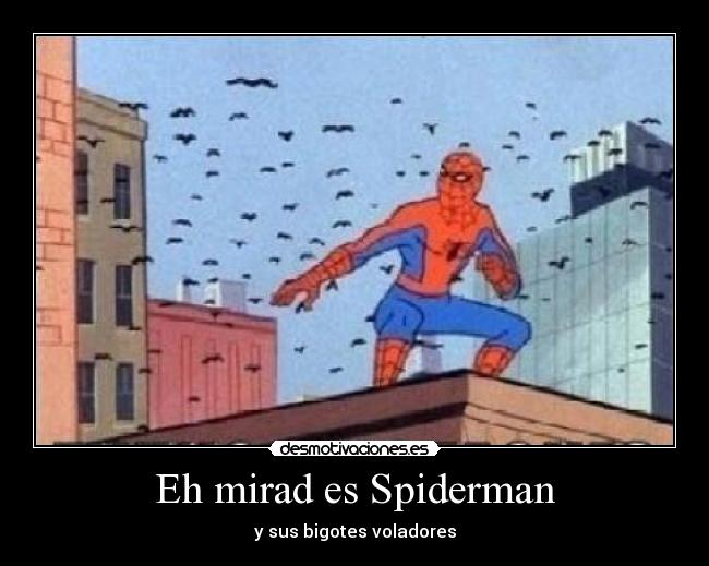 Eh mirad es Spiderman - y sus bigotes voladores