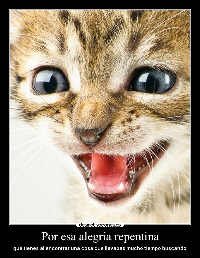 Por esa alegría repentina -