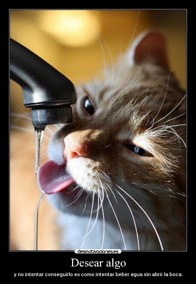 carteles cartelesbuenosaqui desear algo intentar conseguirlo como intentar beber agua sin abrir boca desmotivaciones