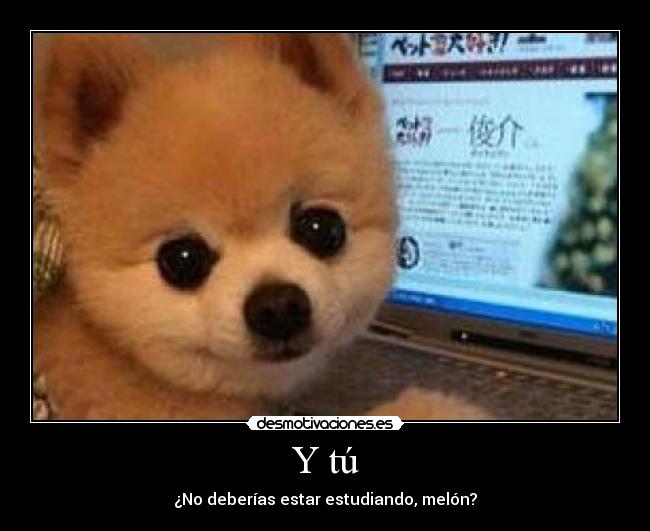 Y tú - ¿No deberías estar estudiando, melón?