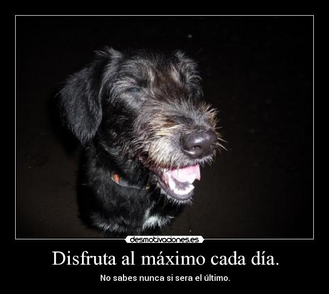 Disfruta al máximo cada día. - No sabes nunca si sera el último.