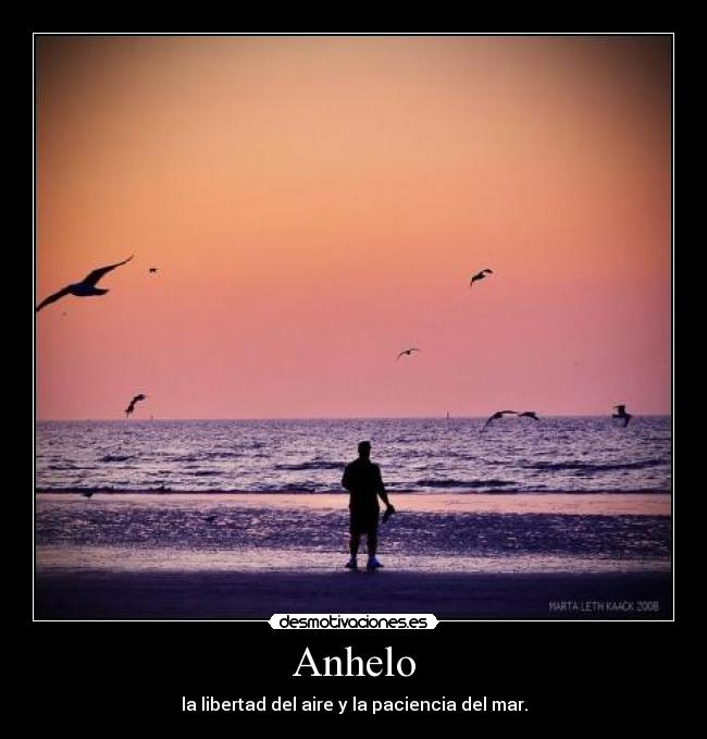 carteles lrc1894 mar aire paciencia libertad desmotivaciones