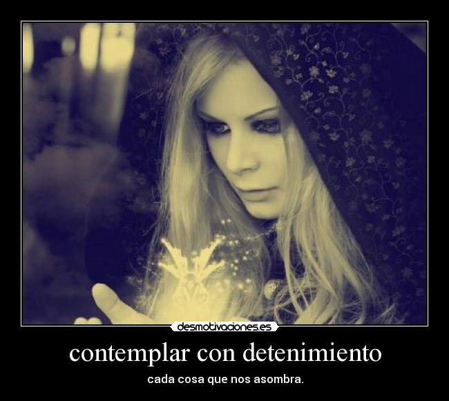 contemplar con detenimiento - cada cosa que nos asombra.