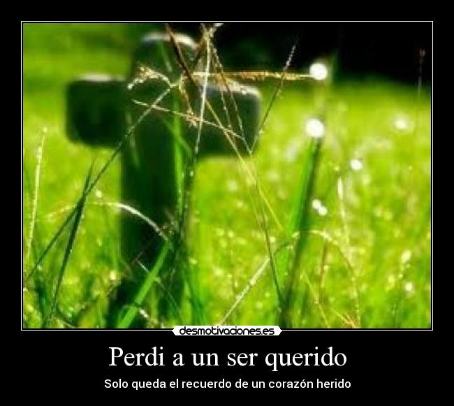 Perdi a un ser querido -
