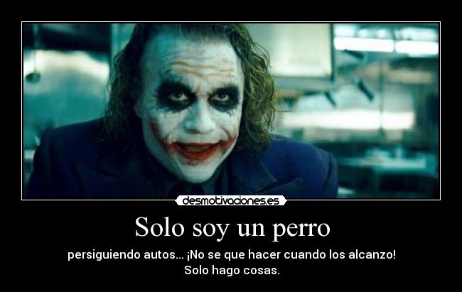 Solo soy un perro - persiguiendo autos... ¡No se que hacer cuando los alcanzo!
Solo hago cosas.