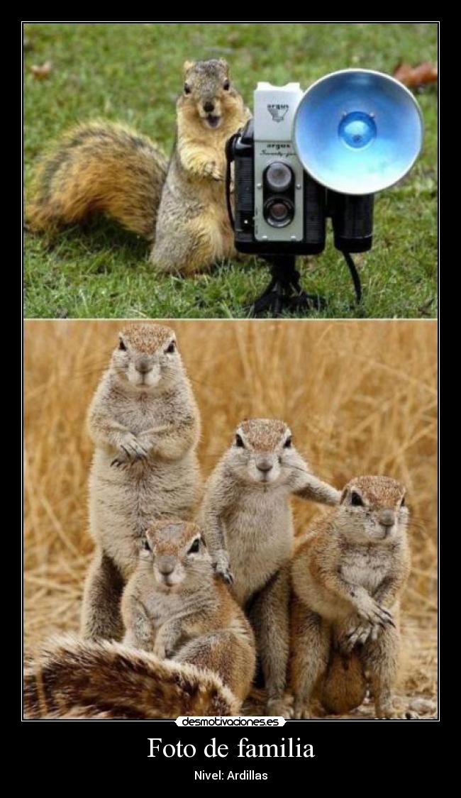 carteles familia ardillas familia foto nivel desmotivaciones