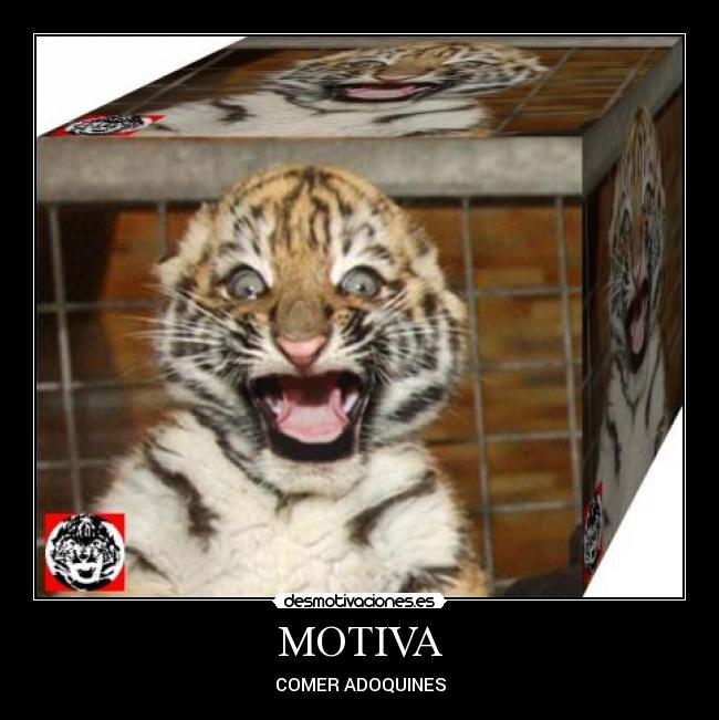 MOTIVA -