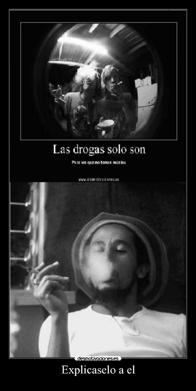 carteles reggae desmotivaciones