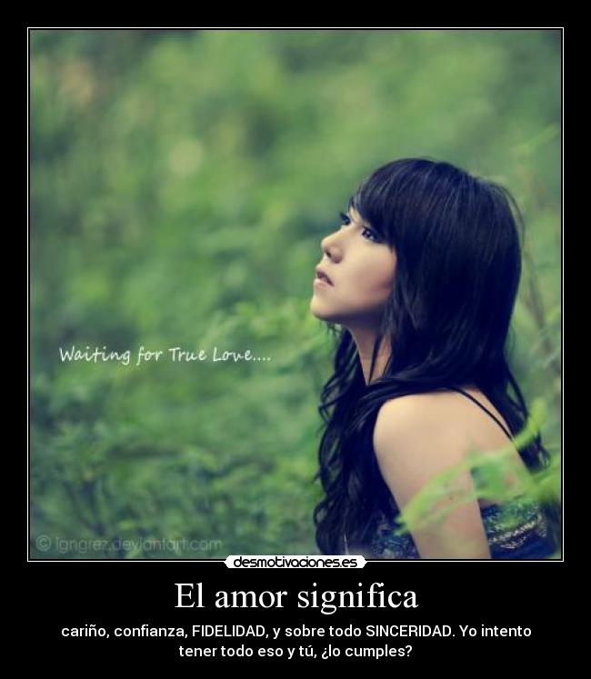 carteles amor amor fidelidad sinceridad rallu18 clanvirus desmotivaciones