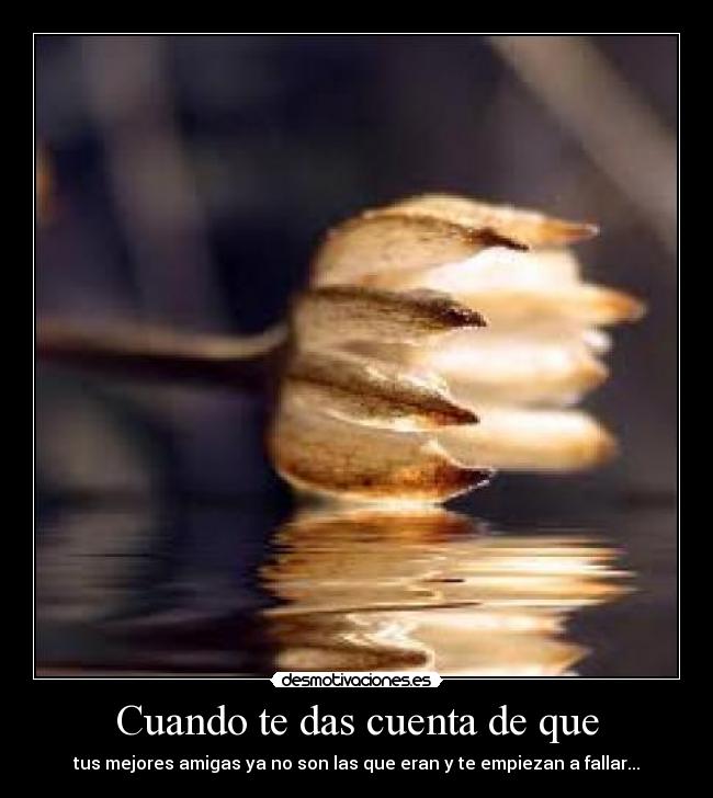 Cuando te das cuenta de que - 