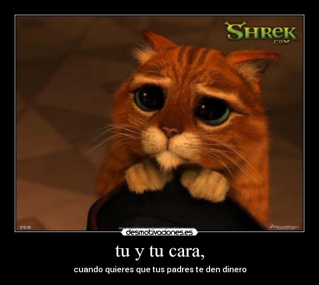 tu y tu cara, -