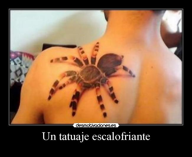 carteles dfhef desmotivaciones