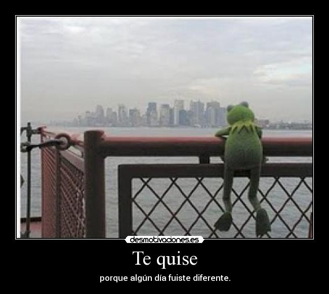 Te quise - porque algún día fuiste diferente.