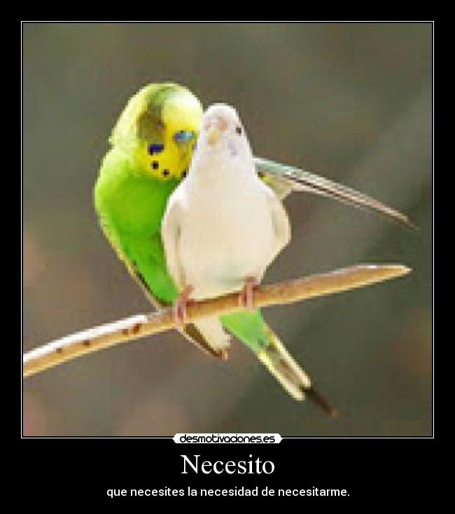 Necesito -