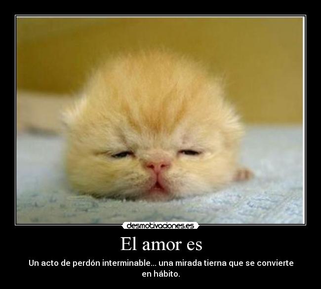 carteles amor helen munoz desmotivaciones