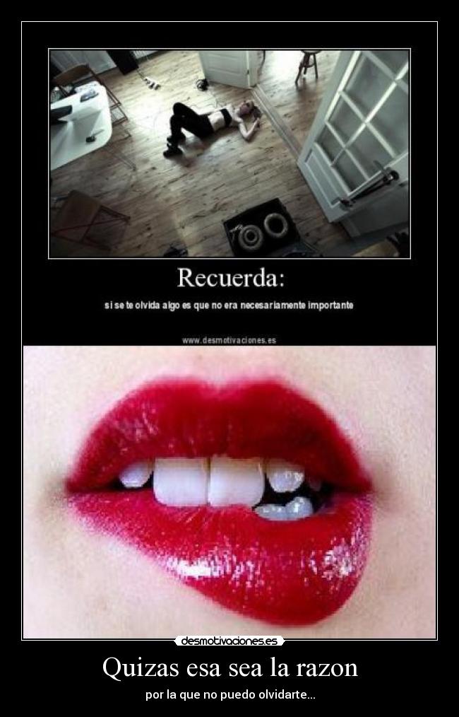 Quizas esa sea la razon - 