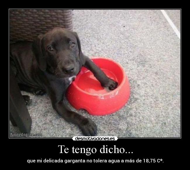 Te tengo dicho... - 