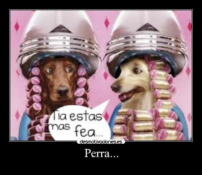 Perra... -