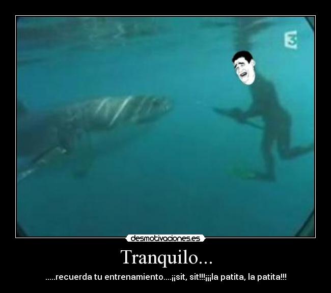 Tranquilo... - 