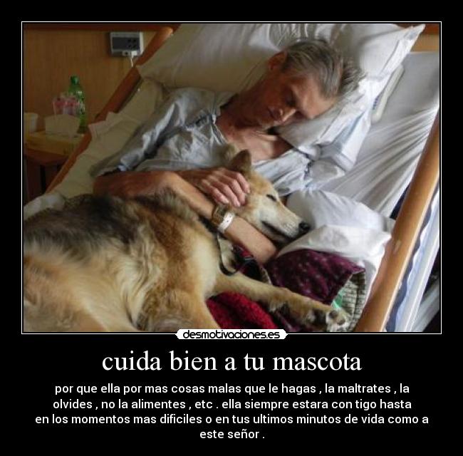 cuida bien a tu mascota - por que ella por mas cosas malas que le hagas , la maltrates , la
olvides , no la alimentes , etc . ella siempre estara con tigo hasta
en los momentos mas dificiles o en tus ultimos minutos de vida como a
este señor .