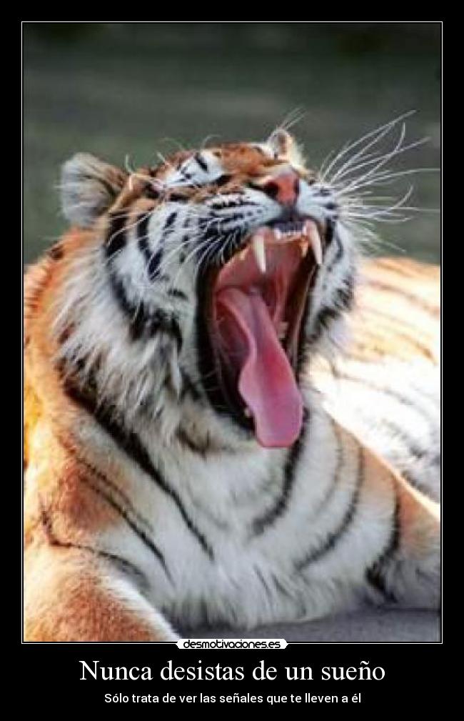 Nunca desistas de un sueño - Sólo trata de ver las señales que te lleven a él