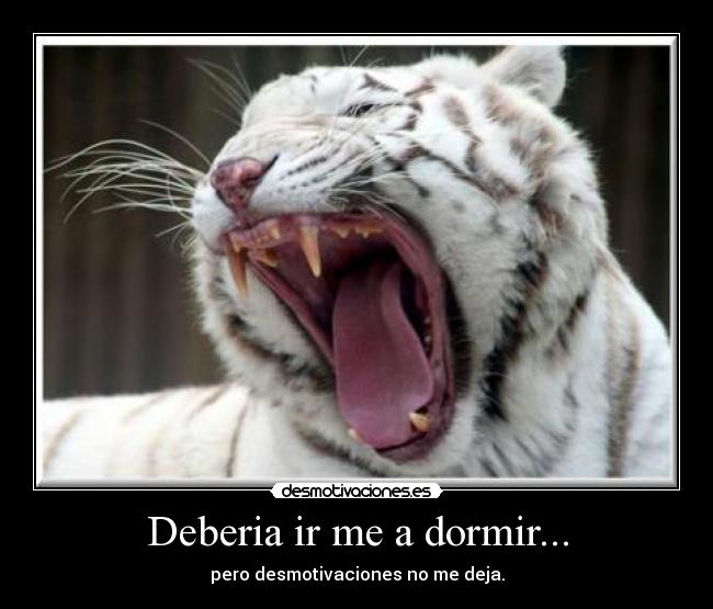 Deberia ir me a dormir... - pero desmotivaciones no me deja.