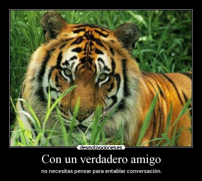 Con un verdadero amigo - no necesitas pensar para entablar conversación.
