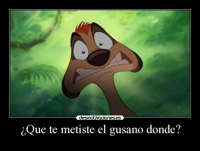 ¿Que te metiste el gusano donde? -