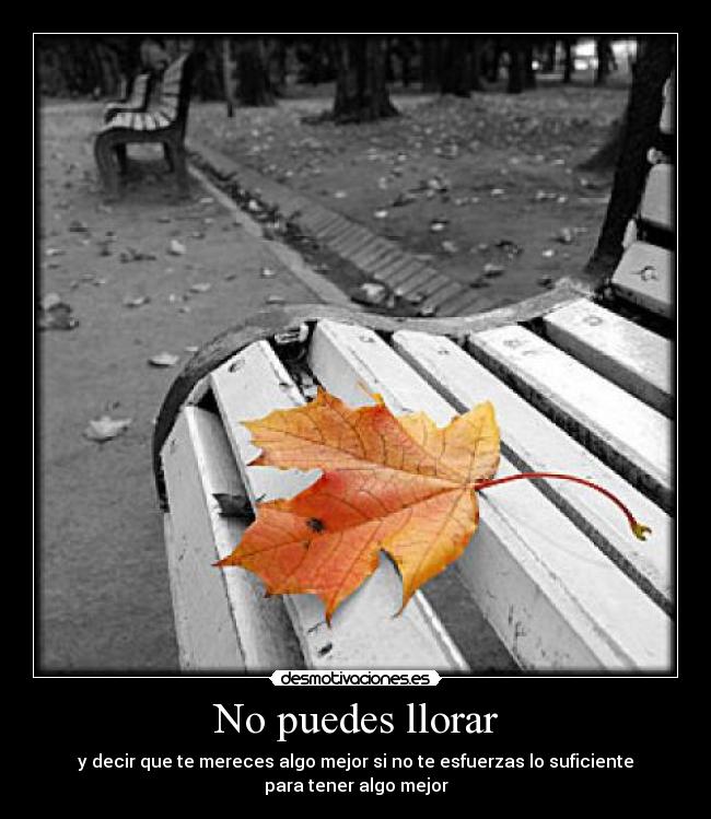 No puedes llorar - y decir que te mereces algo mejor si no te esfuerzas lo suficiente para tener algo mejor