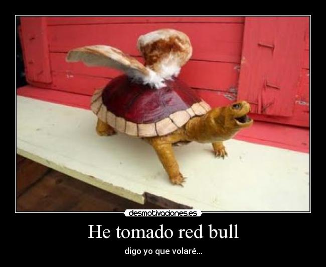 He tomado red bull - 