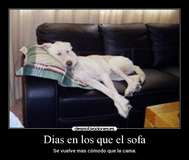 Dias en los que el sofa -
