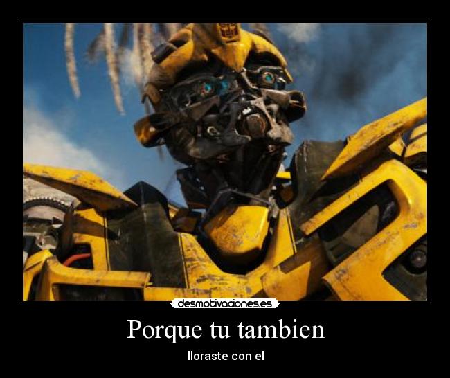 Porque tu tambien - lloraste con el