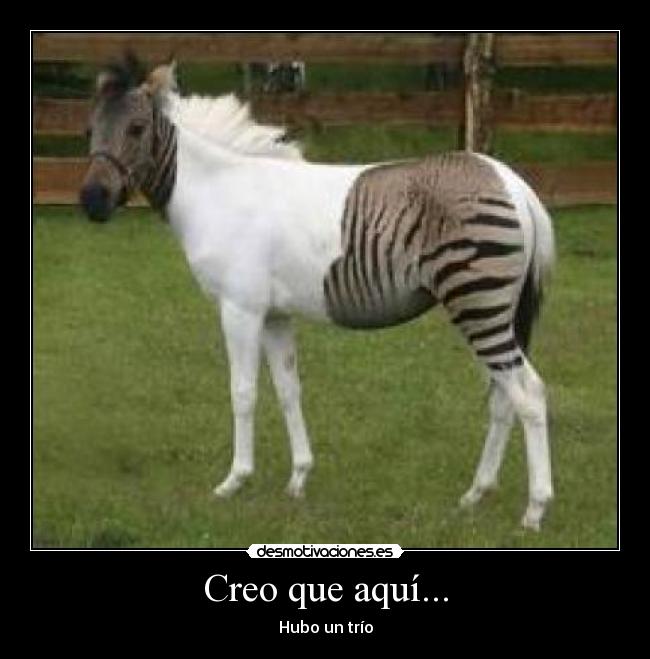 Creo que aquí... - Hubo un trío